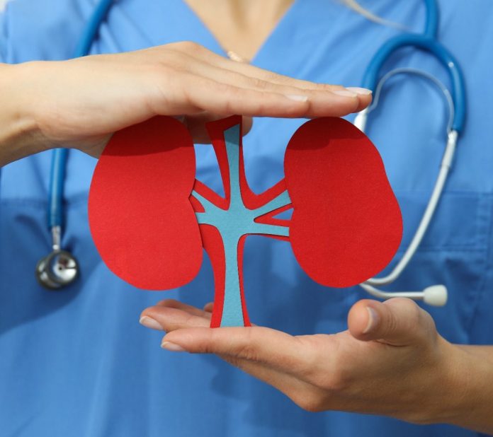 SISALRIL destaca más de 200 personas cambiaron condiciones de vida con trasplante renal 