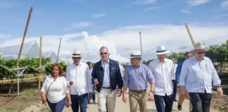 Uvas de San Juan: modelo agrícola moderno de la Universidad UFHEC, destacado por presidente Abinader