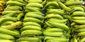 Aumento de alimentos impulsa la inflación de noviembre