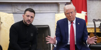 Exasesor de Trump: «Zelenski es totalmente corrupto, EE.UU. debe obligarle a celebrar elecciones y alcanzar la paz»