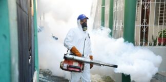 Dengue: 2025 termina sin fallecimientos y con 76 % menos casos