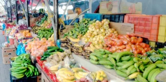 Alimentos-bebidas aportó 71.53% de la inflación noviembre