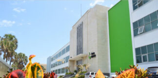 Exadministradores del Banco Agrícola sugieren realizar una auditoría de los fondos estatales y no dicen nada del control de facto que al expresidente Mejía se le supone que tiene allí