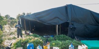 Invernadero ilegal. Ni café ni plátano: lo que sembraban en estas montañas era marihuana