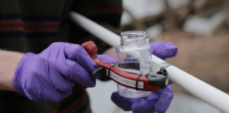 Trump declara estado de emergencia en Washington D.C.