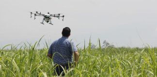 Ministro de Agricultura afirma priorizar mecanización y tecnología en la producción agrícola