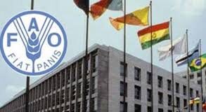 La FAO confirma avance de República Dominicana en el control de la peste porcina