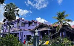 PLD presenta lista de ocho aspirantes a candidato presidencial