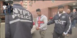 ¿Se encuentra EEUU decidido a exterminar a la población joven dominicana con el incremento del consumo de marihuana y cocaína y fentanilo e importados por medio de dominicanyorks residentes en el territorio nacional, pero trasladándose de continuo entre uno y otro país?