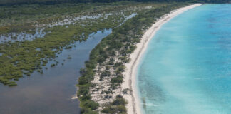 Inejecución sucesiva de la Ley 266-04 fue base para sentencia del TSA sobre terrenos parque Jaragua. los terrenos «no se encuentran dentro del Parque Nacional Jaragua ni de otra área protegida reconocida por la Ley núm. 202-04