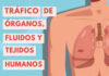 ¿Y COMO ES ESO DE QUE AL ACEPTAR LA NUEVA CEDULA, IMPLICITAMENTE EL DETENTADOR AUTORIZA QUE AL MORIR, SUS ORGANOS SEAN DONADOS?