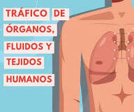 ¿Y COMO ES ESO DE QUE AL ACEPTAR LA NUEVA CEDULA, IMPLICITAMENTE EL DETENTADOR AUTORIZA QUE AL MORIR, SUS ORGANOS SEAN DONADOS?