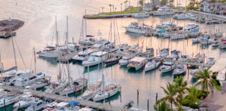 Versión dominicana de los archivos Epstein: Sigan el rastro del personal dominicano en la isla del pedófilo y espía y descubrirán a la elite criolla que es su fiel devota