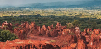 Cantidad de tierras raras sigue siendo enigma en el territorio nacional