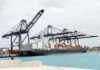 EEUU señala a la economía dominicana como una de las economías que exporta productos realizados con trabajo forzoso