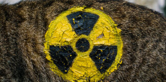 Asesor de Putin desaconseja a los países bálticos «tirar del bigote a un gato de garras nucleares»