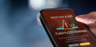 ¿Tu celular puede avisarte de un sismo? Aprende a activar las alertas
