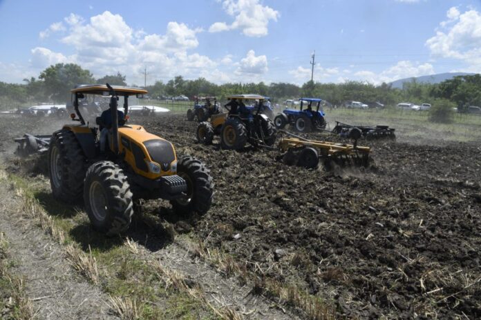 Agricultura prepara 190 mil tareas de tierra para siembra masiva de habichuela en región Suroeste