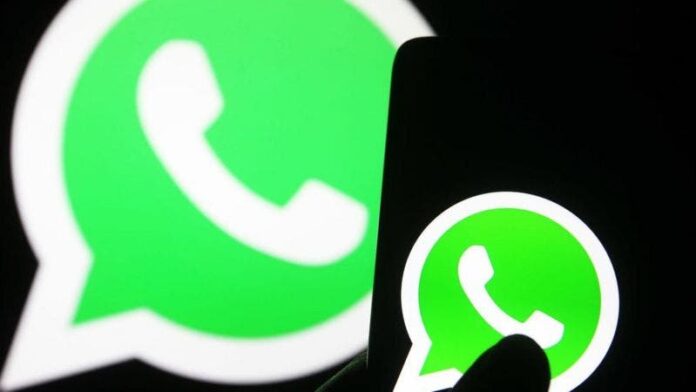 WhatsApp: por qué en Estados Unidos poca gente usa la aplicación