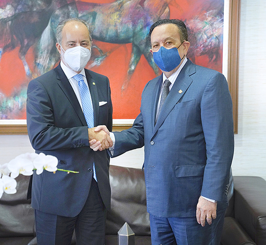 Valdez Albizu recibe al nuevo embajador de Italia en el