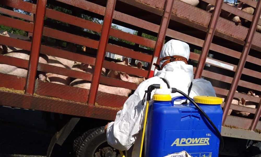 1641276327 343 Para trasladar animales la guia de movilizacion es clave