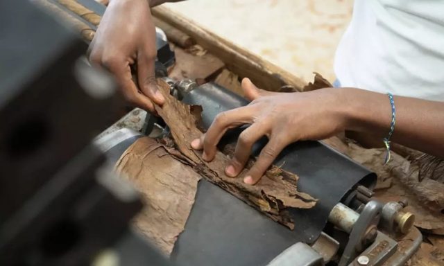 Exportaciones de zonas francas crecieron 227