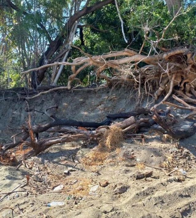 Medio Ambiente decomisa arenaarena extraida de Las Dunas de Bani