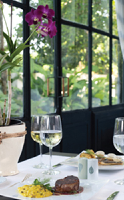 Nuevos turistas la fuerza vibrante del destino RD 2