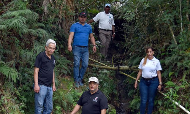 Servicio Forestal de EE UU y Apedi trabajaran unidos