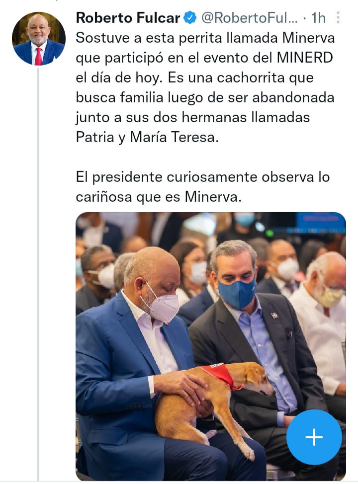 1644505163 725 Fundacion sobre nombre de cachorras Nunca nos burlariamos y mucho