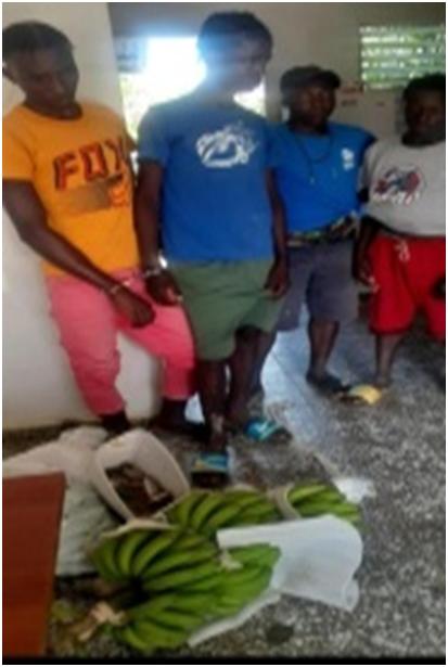 Detienen haitianos ilegales en el país; PN someterá a varios por robo Detienen haitianos ilegales en el país; PN someterá a varios por robo