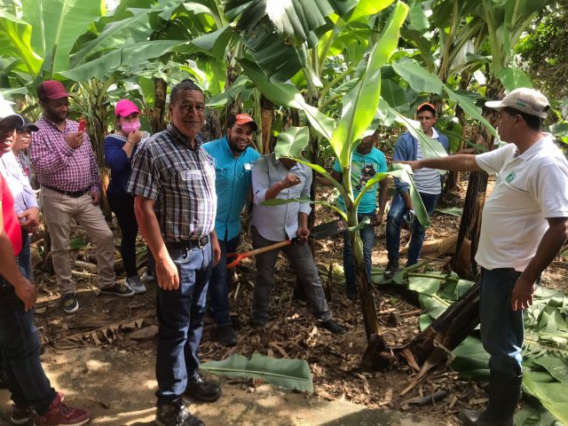 Llevan Escuela de Campo de Agricultores a la region Sur