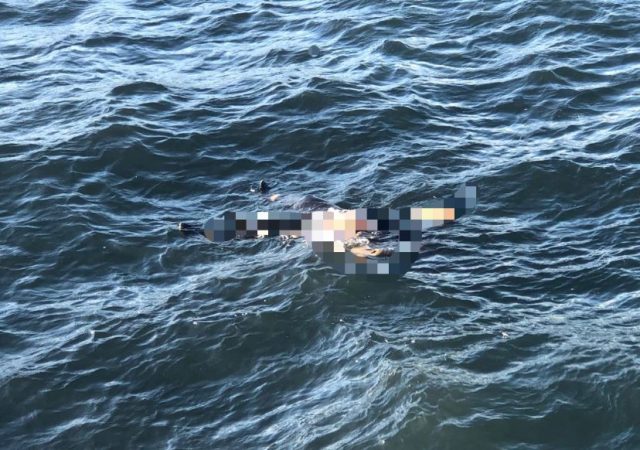 Zozobra embarcación y recuperan cuatro cadáveres en costa de La Romana