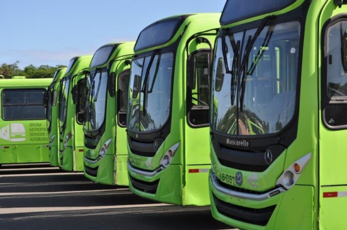 OMSA ha reincorporado 243 autobuses que habían sido descartados