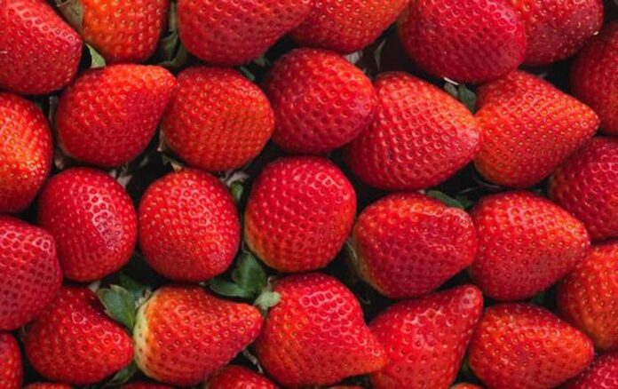 EEUU y Canadá vinculan casos de hepatitis con fresas