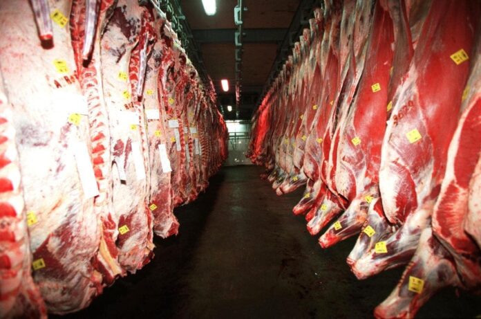 Valoran como positivo RD pueda volver a exportar carne a EEUU