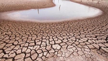 Mitad de población mundial ya sufre efectos desertificación