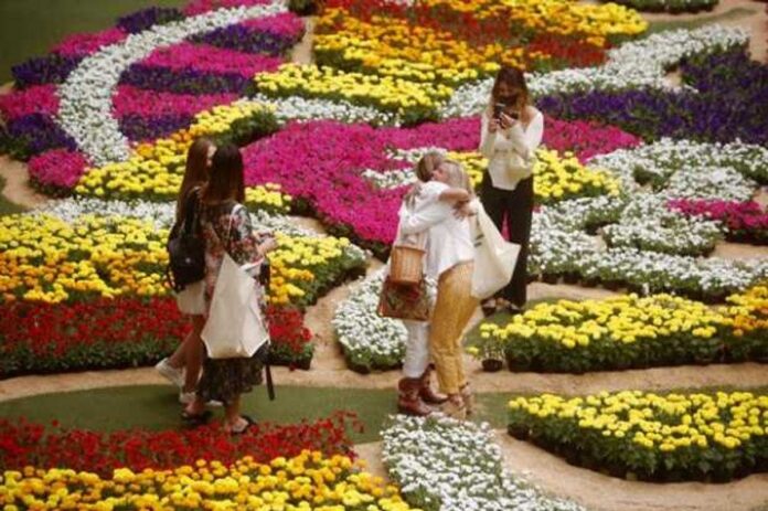 Tapiz con 200.000 flores engalana Medellín con una experiencia multisensorial    