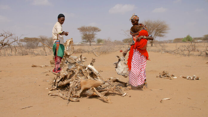 Kenia y la ONU llaman a la comunidad internacional para mitigar la sequía