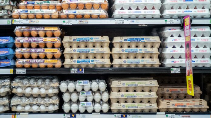 El precio del huevo en EE.UU. ha subido casi un 50% a lo largo de 2022