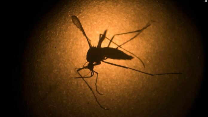 Reportan »Ascenso brusco de contagio» de dengue en región boliviana de Santa Cruz