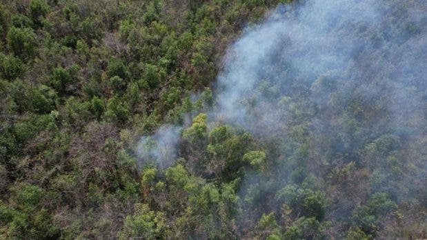 Medio Ambiente someterá a la Justicia responsables de incendios forestales en Barahona
