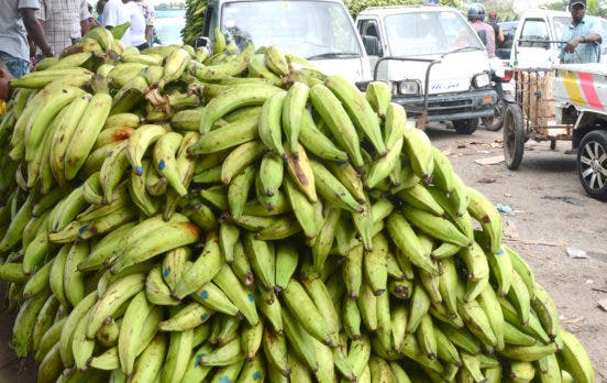 El plátano ya se vende a menos de 30 pesos en Mercado Nuevo