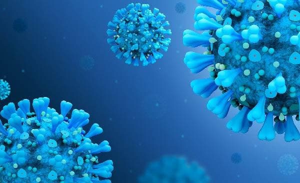 La OMS “jubila” las variantes del coronavirus