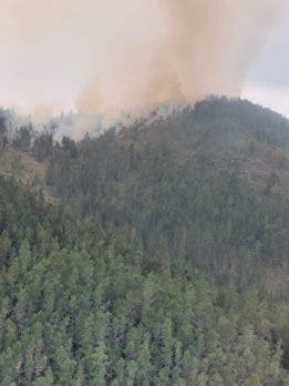 Incendio forestal en Valle Nuevo sigue bajo control y estaría sofocado en las próximas horas