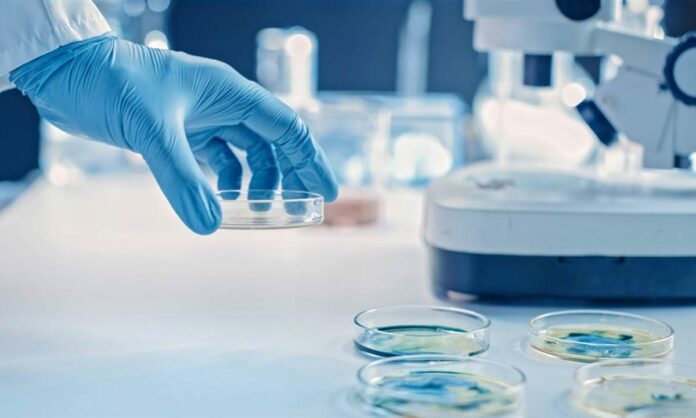 Médicos de AL experimentan con biomarcadores para atender cáncer de próstata