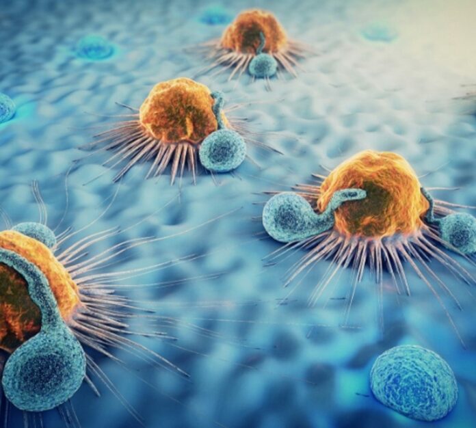 Células pueden reprogramarse para combatir el cáncer de mama, según estudio