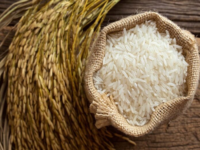 Advierte arroz subsidiado de Estados Unidos quebraría la producción arrocera local