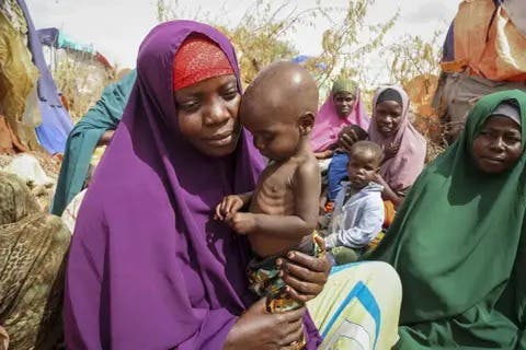 ONU reporta aumento hambre en varias regiones del mundo