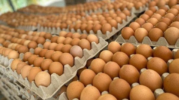 Preocupa sobreproducción de huevos